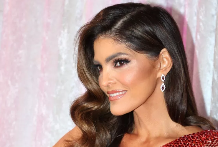 Ana Barbara se retira de la música por esta polémica razón.jpg