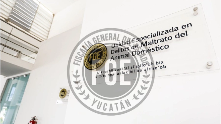 Esto dijo la Fiscalía del Estado sobre el caso de presunto maltrato animal en Kanasín