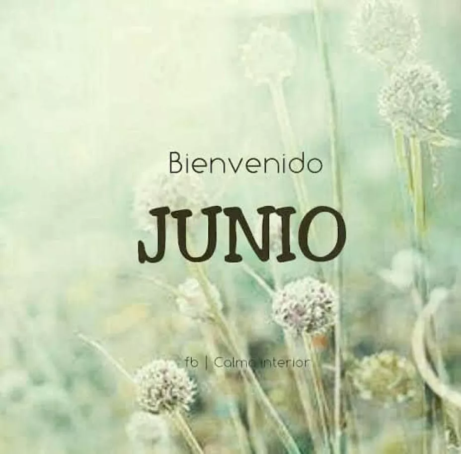Bienvenido Junio (2)