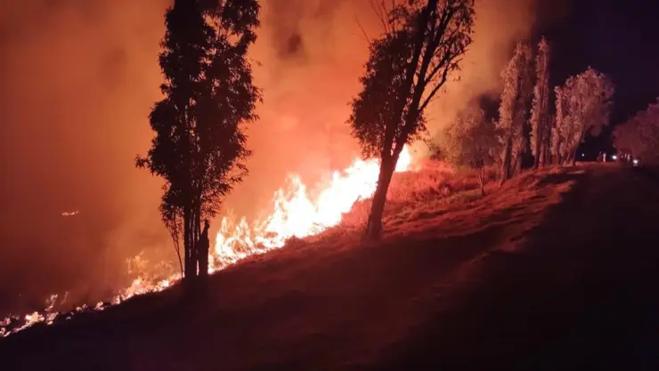 INCENDIO MUYU OK.jpeg