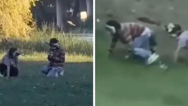 VIDEO: Los ‘Therians’ llegan a México; así fueron captado jovenes disfrutando de un parque de Sinaloa