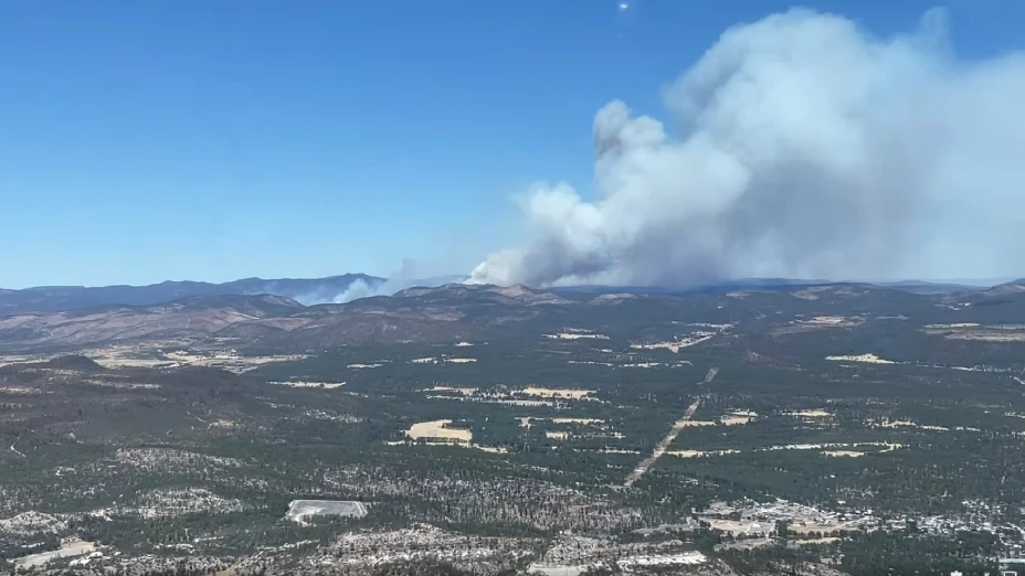 incendios ocampo.jpg