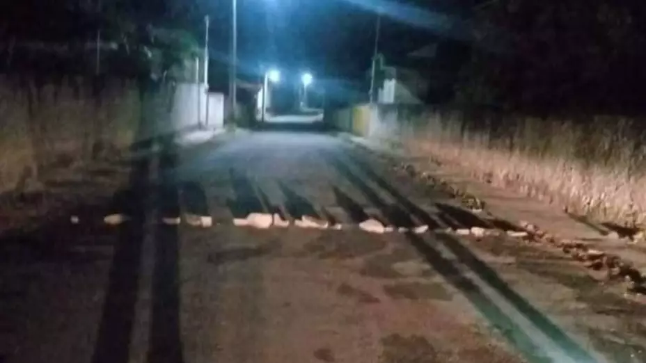 frustran robo en biblioteca yuc