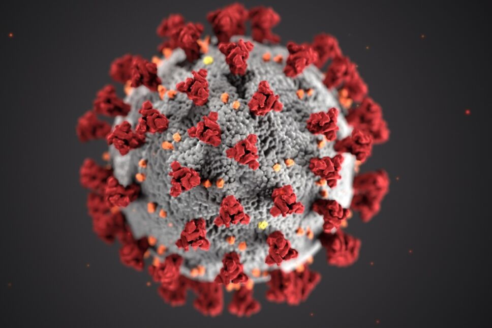 Teorías sobre el coronavirus
