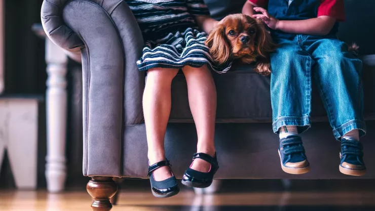 La razón por la que se relaciona el color azul con el autismo; ¿por qué se conmemora el día mundial hoy 2 de abril