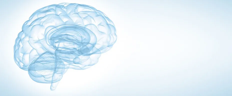 Cerebro azul unnamed .jpg