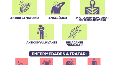 Día Mundial de la Marihuana