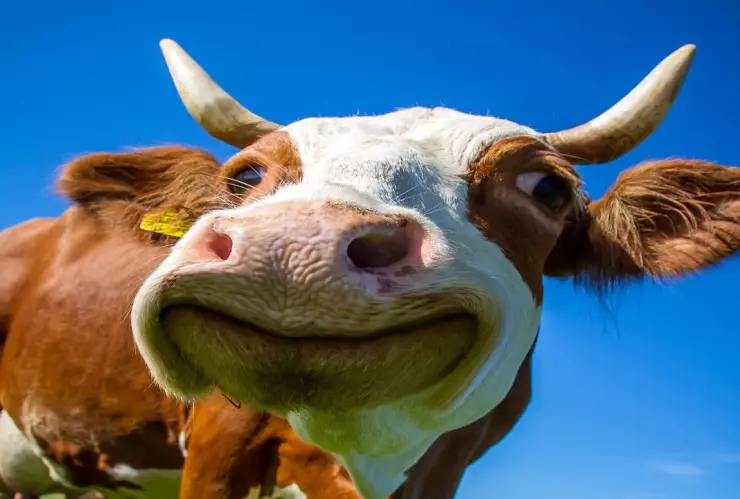 Bezos, fundador de Amazon, apuesta por la innovación para combatir el cambio climático.