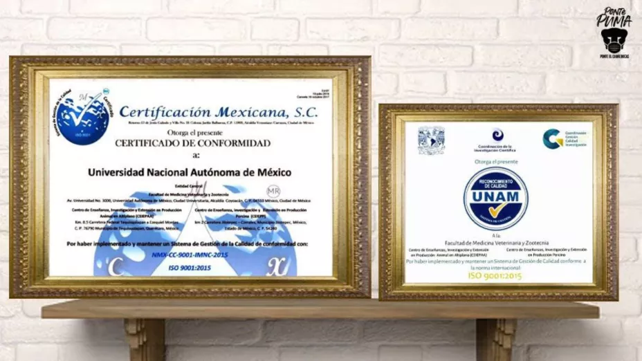CERTIFICADO_UNAM-DGCS.jpg