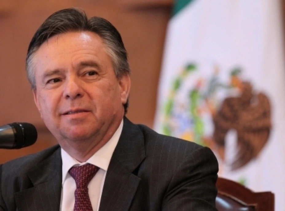 Medina Mora renuncia