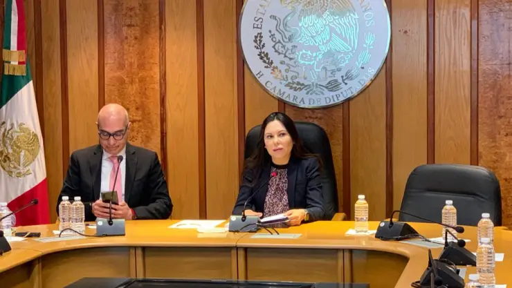 Laura Rojas presidenta.jpg