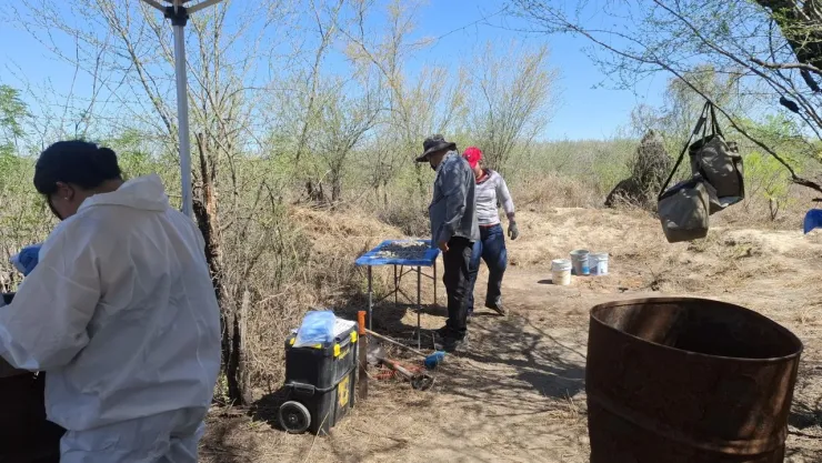 Las últimas fosas clandestinas y centros de exterminio encontrados en México