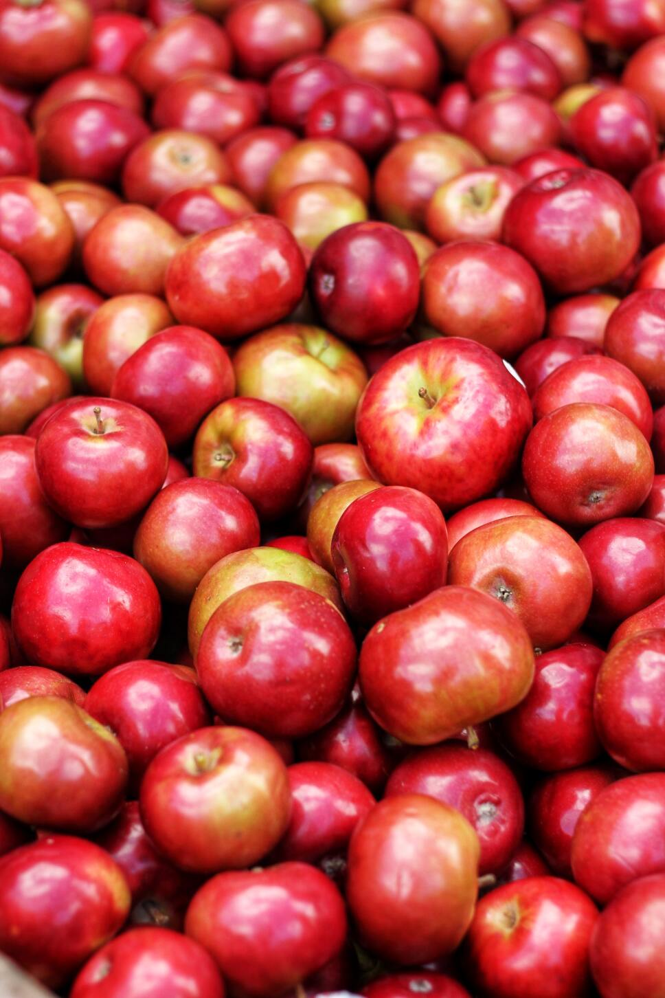 Propiedades del vinagre de manzana