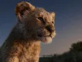 El Rey León Live Action Doblaje