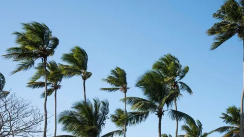 Clima Tijuana hoy martes 10 de diciembre de 2024 Habrá vientos de Santa Ana en Baja California