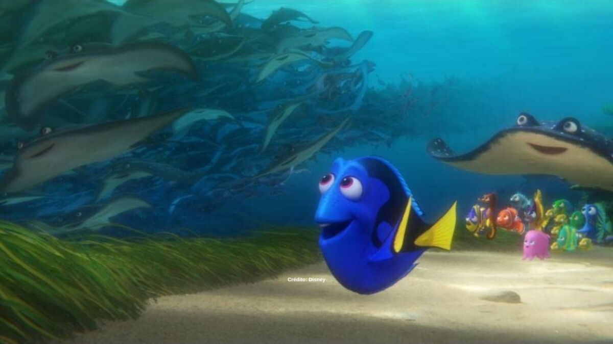 ¡Nadaremos, nadaremos! 7 datos curiosos de Buscando a Dory. - Vimarsana News