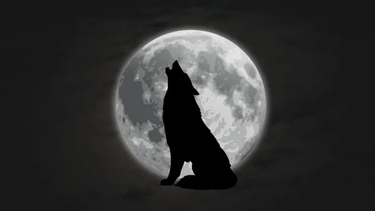 ¿Cuándo será la primera Luna llena del año 2024?
