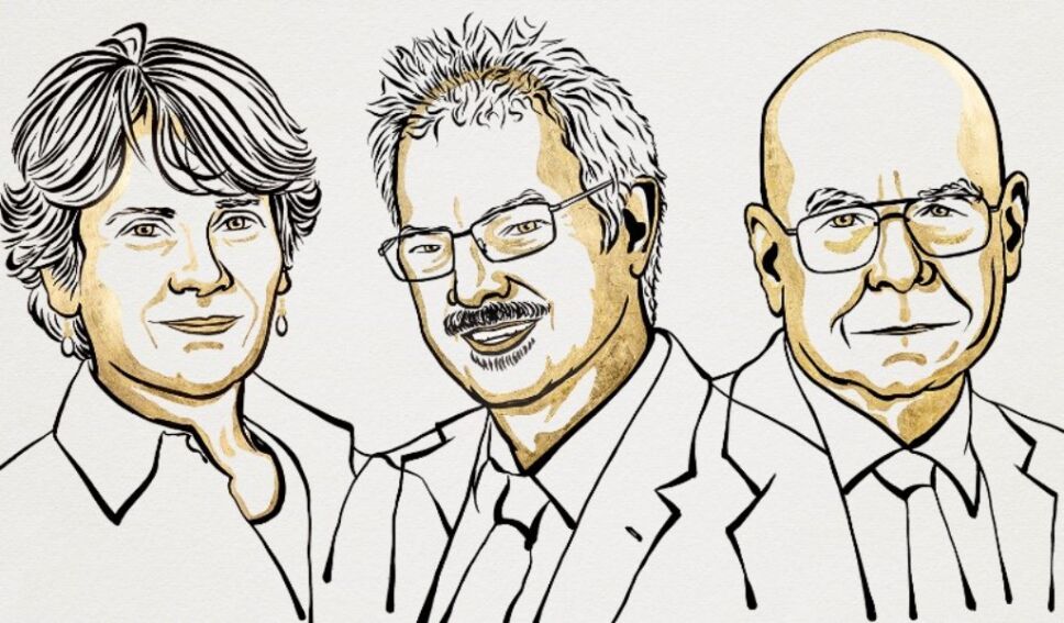 Premio Nobel de Química para técnica para construir moléculas