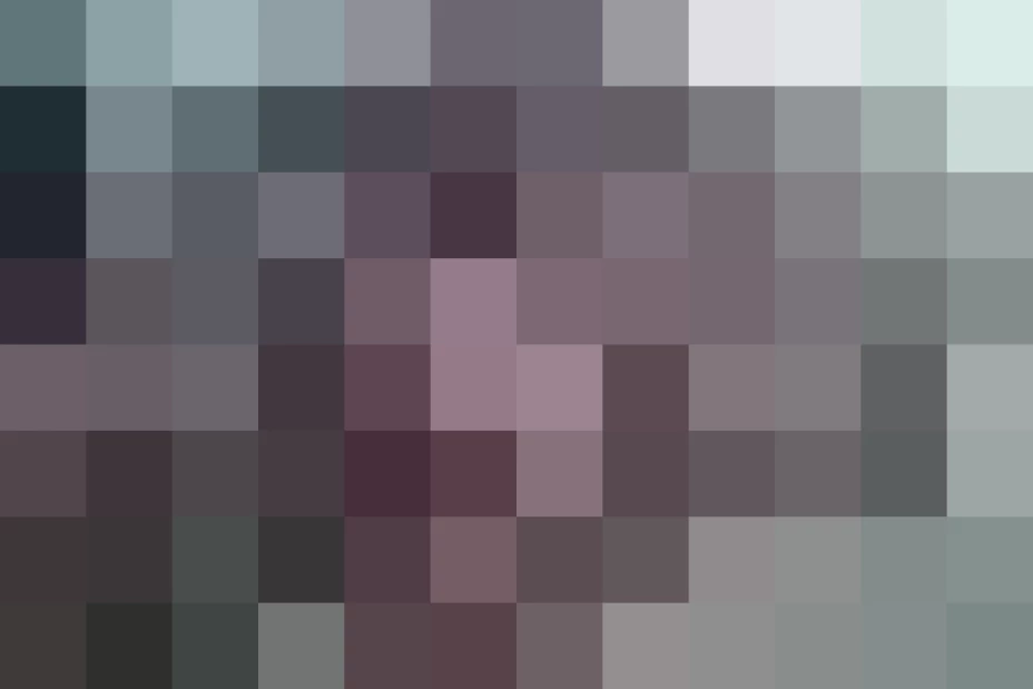 Guillermo Gazal, dirigente de Procentrhico, señaló que es responsabilidad de la SHCP y la PGR combatir la “piratería”