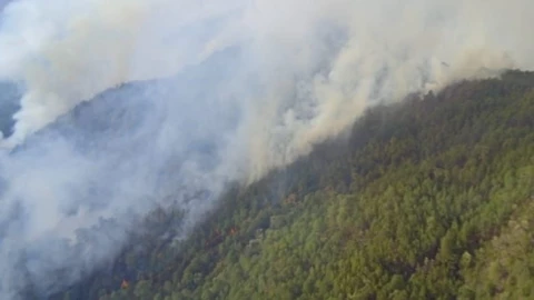 incendio forestal Tejupilco Edomex