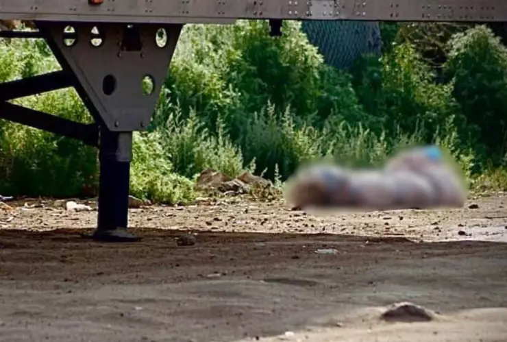 Reportan hallazgo de persona sin vida en colonia Los Girasoles hoy 7 de junio de 2025