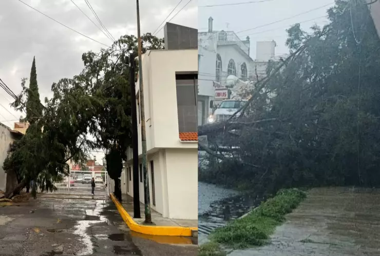Lluvia en Puebla hoy 30 de mayo de 2024 deja caída de árboles y encharcamientos