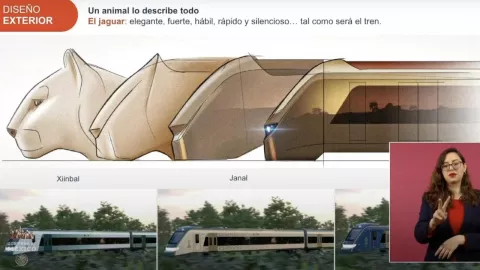 Tren Maya tendrá forma de jaguar: Así será el diseño de sus vagones