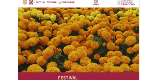 Día de muertos flores de cempasúchil