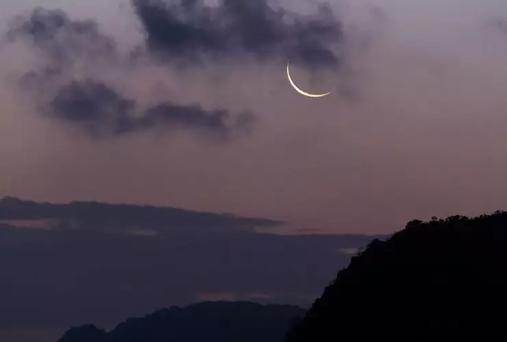 pexels-dushenkovsky-4100130 (1).jpg