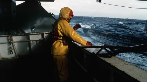 Este trabajo en la Marina paga hasta 24 mil pesos