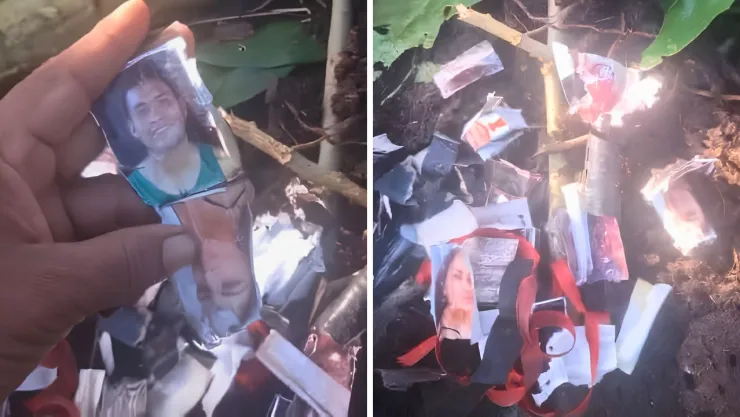 El hallazgo de más de 230 fotografías dentro de una palmera generó diversas reacciones entre vecinos