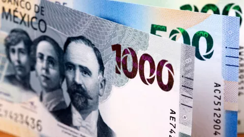 Banda falsificadora de billetes en Culiacán y Navolato.