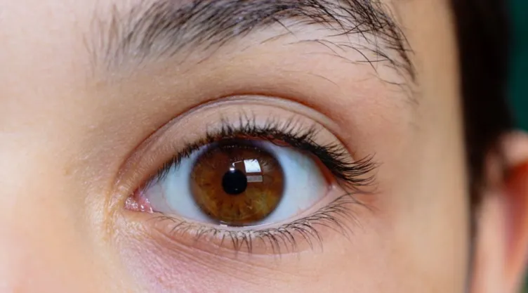 ¿Qué color de sombras resalta más los ojos cafés según la rueda de colores?