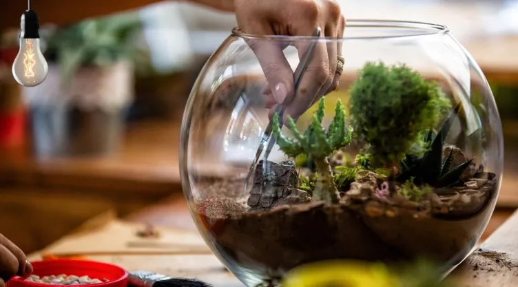 Ideas DIY Cómo hacer un terrario decorativo a partir de botellas de vidrio.jpg
