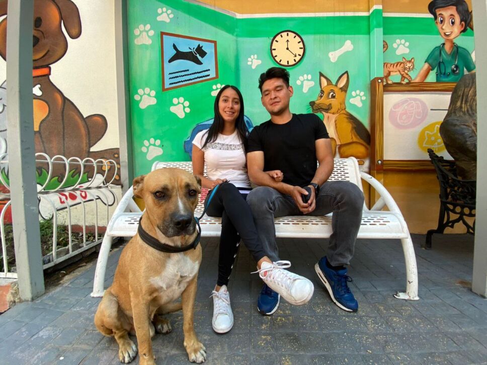 Rescatan a perrito cuyo dueño murió afuera de estación del Metro CDMX