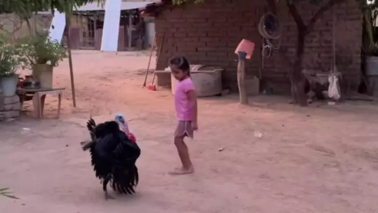niña baila con su pavo y se vuelve viral en las redes