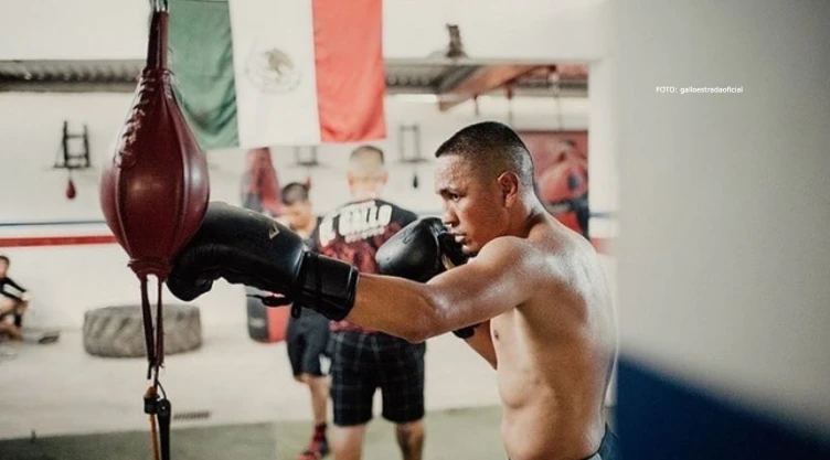 Gallo Estrada renuncia campeonato AMB