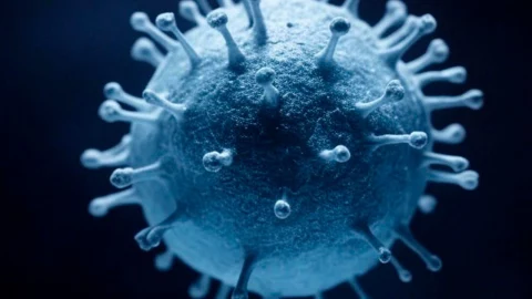 Metapneumovirus casos México