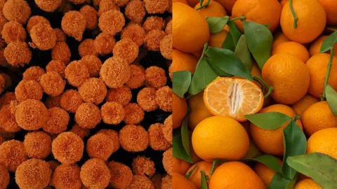 Receta de agua de mandarina con cempasúchil; para aprovechar y no desperdiciar las flores de Día de Muertos