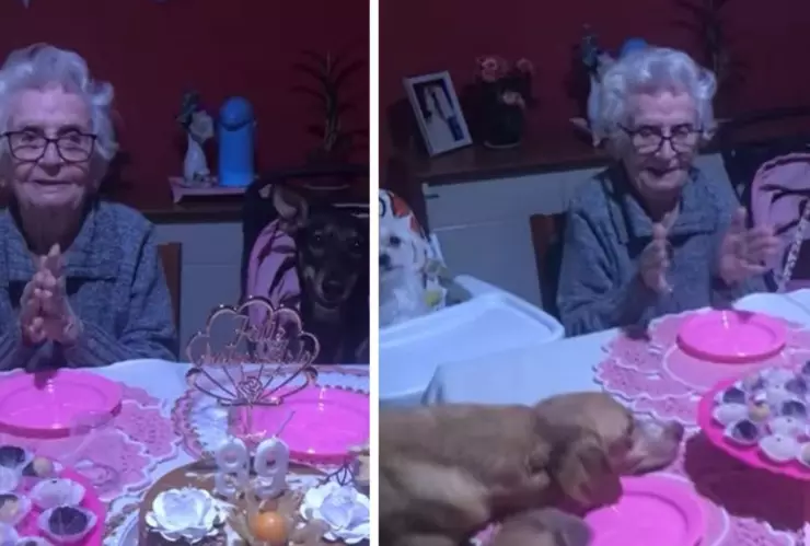 abuelita celebra su cumpleaños 89 junto a su familia de 10 perritos en brasil.jpg