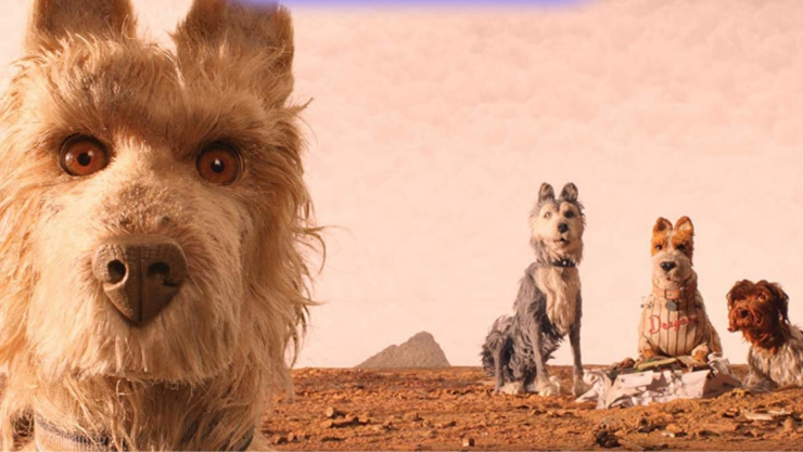 Top de Películas sobre perros que no te puedes perder.