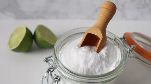 3 formas de usar bicarbonato de sodio en plantas &iexcl;Con&oacute;celas! 