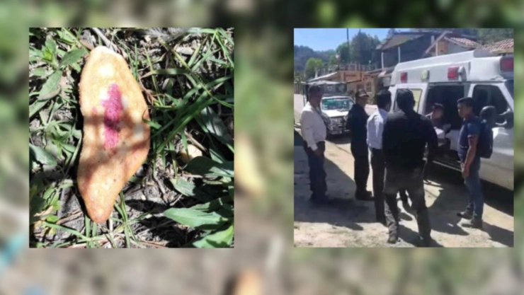 Tres menores perdieron la vida en Chiapas por comer pan envenenado que era para perros.