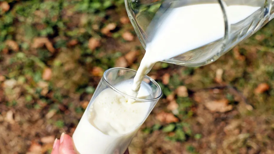 Leche_ Ecolab.jpg