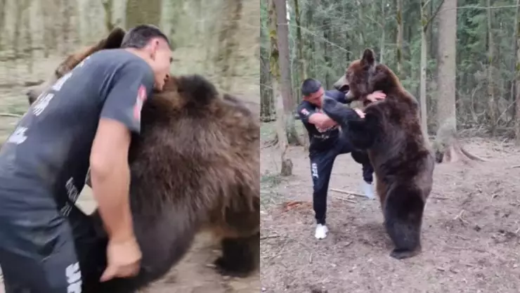 ¿Quién es el ganador? Luchador de MMA pelea contra un enorme oso e impacta a todos