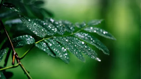 ¡Cada día con más frío! Este es el pronóstico del clima hoy 27 de agosto en Tlaquepaque