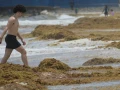 Alerta máxima en la Costa Maya de Quintana Roo: Playas de Mahahual y Xcalak invadidas de Sargazo; más de 3 mil toneladas afectan al turismo y la vida marina.