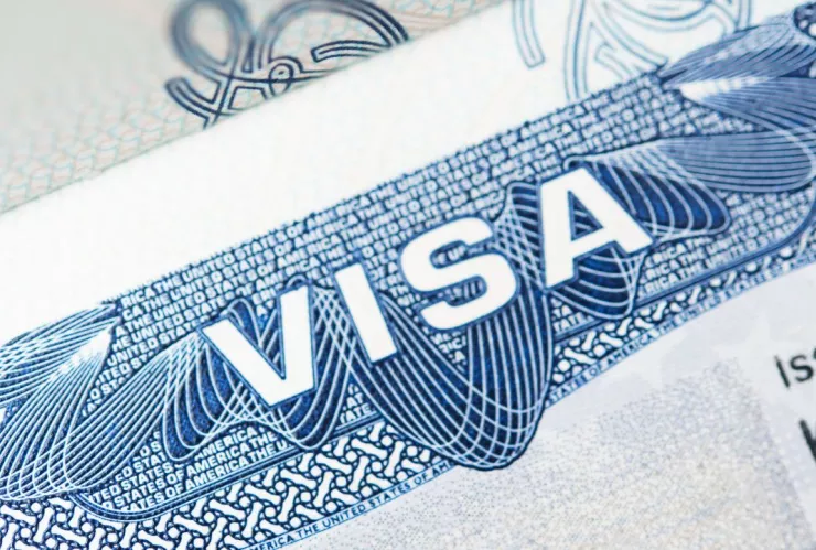 z - 2024-02-27T160721.183.jpg