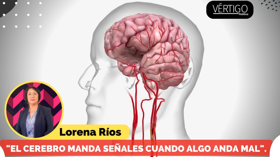 CEREBRO
