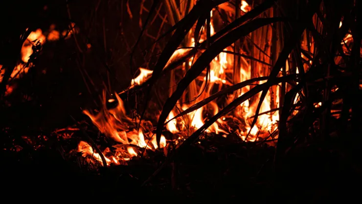 Incendios forestales en Querétaro